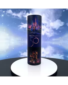 Walt Disney World 50th Anniversary Tube