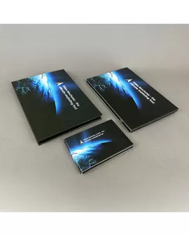 Magellan Video Business Cards