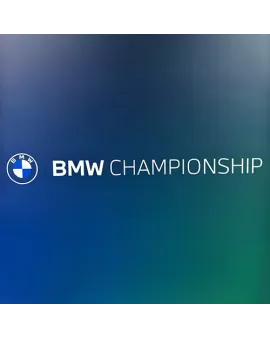 BMW Video Box