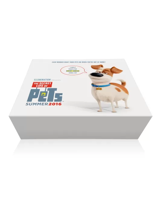 Bespoke Custom The Secret Life of Pets Box