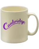 Cambridge Direct Print Classic Mug - 330ml