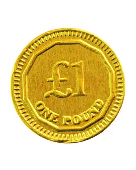 Promotional Chocolate Coin-Varying Sizes