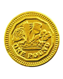 Promotional Chocolate Coin-Varying Sizes