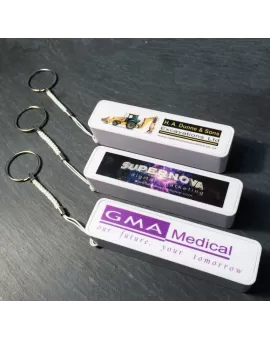 Branded Power Bank Charger