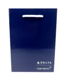 Branded Delta Airlines Gloss Lam Bag