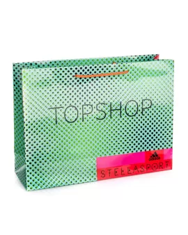 Printed Gloss Laminate bag with rope handles