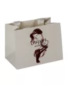 Printed Gloss Laminated Ribbon Handle Bag