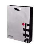 Printed Gloss Paper Bag with Die Cut Handle