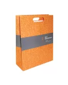 Printed Gloss Paper Bag with Die Cut Handle