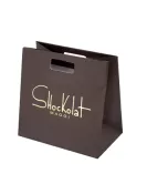 Printed Matt Laminate Paper Bags With Die Cut Handles