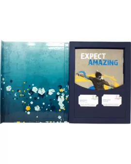 Qatar 2022 World Cup Bid Custom Tender Packaging Version 3