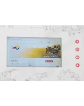 Promotional Maltese Cross Style Video Brochure