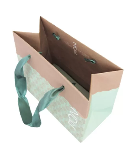 Printed Matt Laminate Paper Bags With Ribbon Handles