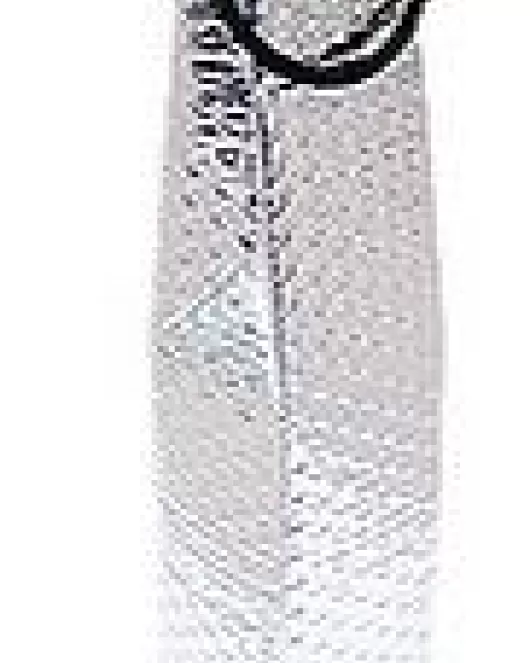 Metallized Bottle Bag