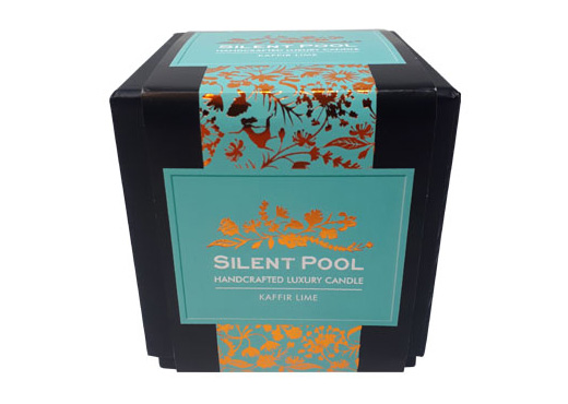 Silent pool rigid box