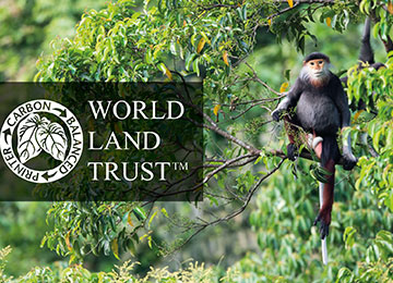 World Land Trust Image