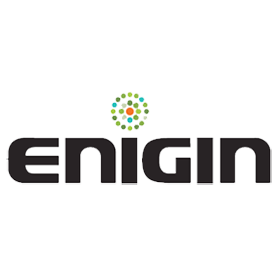 Engin Logo for merchandise case study 